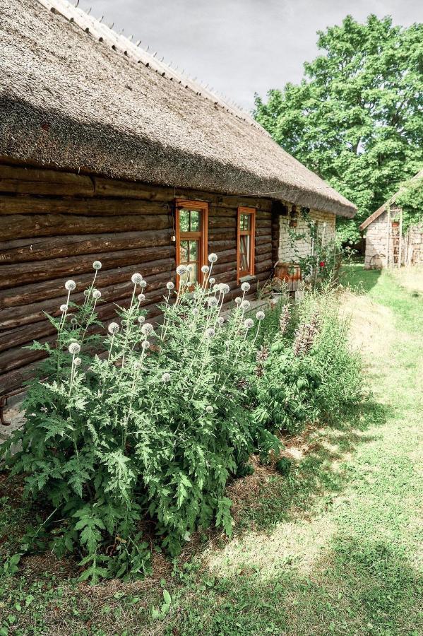 Matsi Cottage Igaküla Extérieur photo
